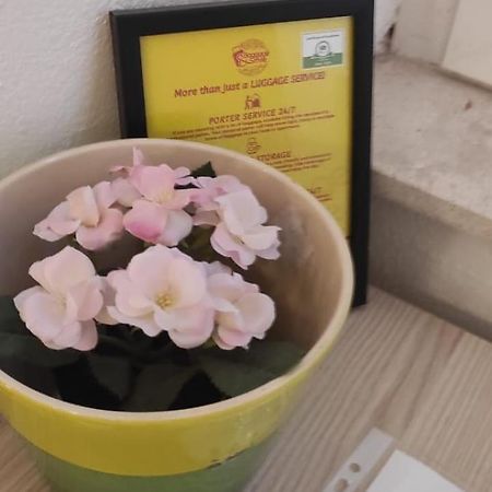 Simply Dubrovnik Nikole Bozidarevica 2 A B C D 아파트 외부 사진